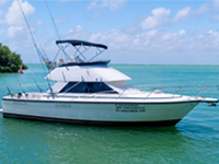 34 Ft Phoenix