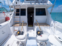 34 Ft Phoenix