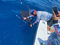 35ft-gannet