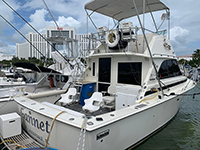 35ft-gannet