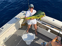 35ft-gannet