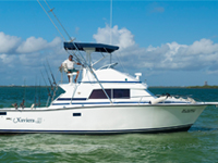 35 ft Xaviera