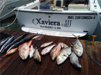 35 ft Xaviera