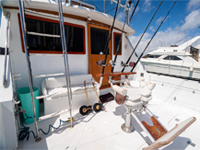 38 Ft Bertram