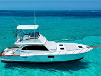 46 Ft Patron