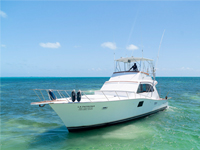 46 Ft Patron