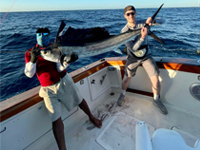 46 Ft Patron
