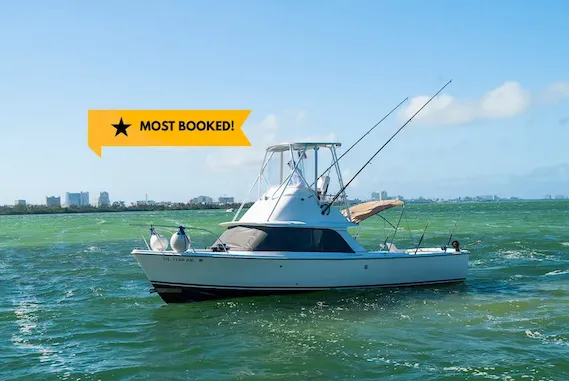 31 ft Bertram fishing charter boat in Cancun
