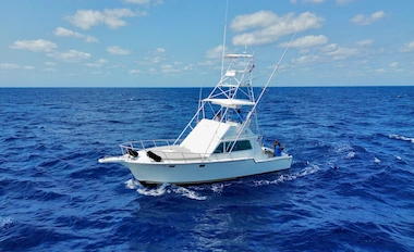 40 ft Blackfin fishing charter boat Cancun