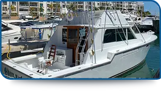 40 ft Blackfin fishing charter Cancun
